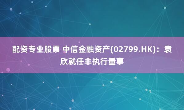 配资专业股票 中信金融资产(02799.HK)：袁欣就任非执行董事